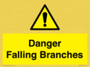 danger-falling-branches~
